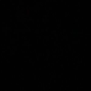 Meet your Posher, Big